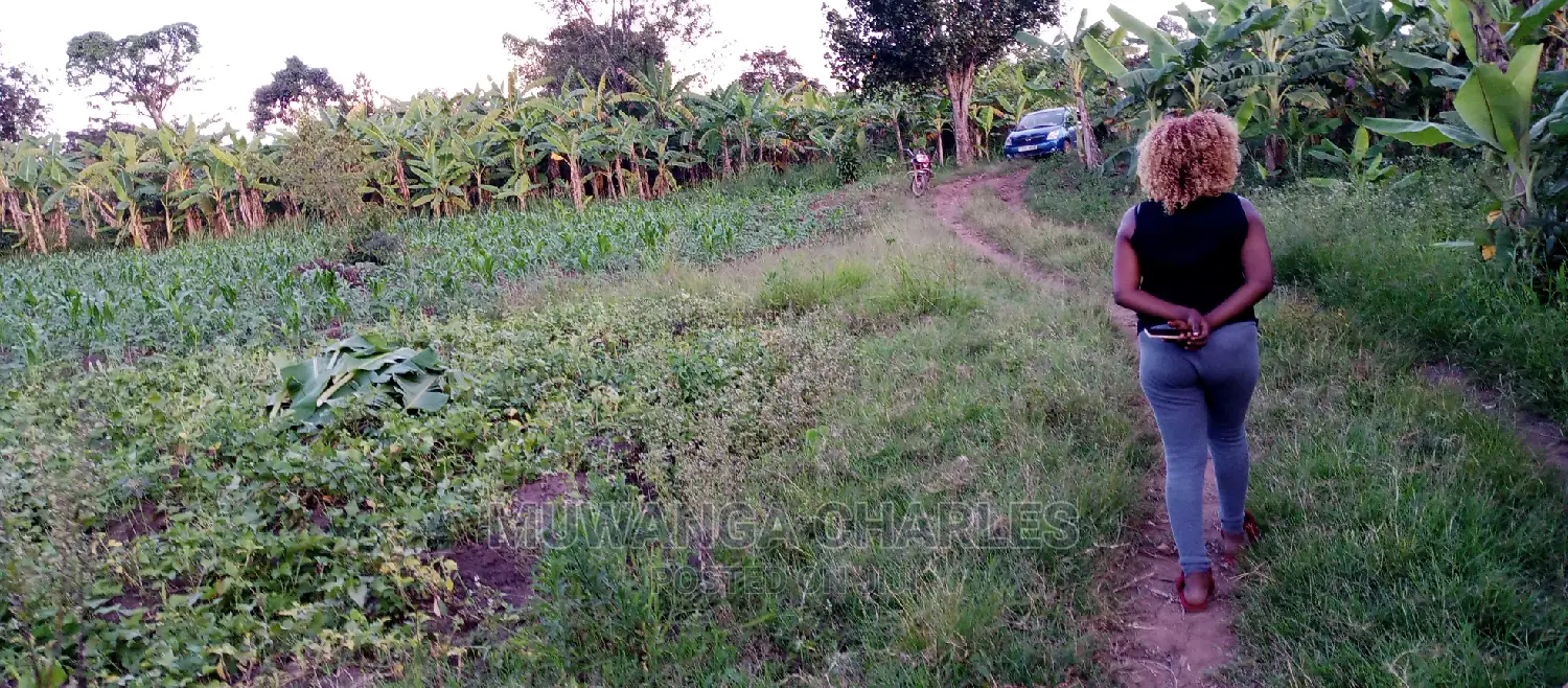 10acres of Land for Sale in Zirobwe