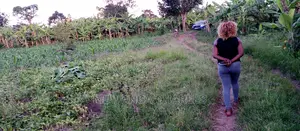 10acres of Land for Sale in Zirobwe
