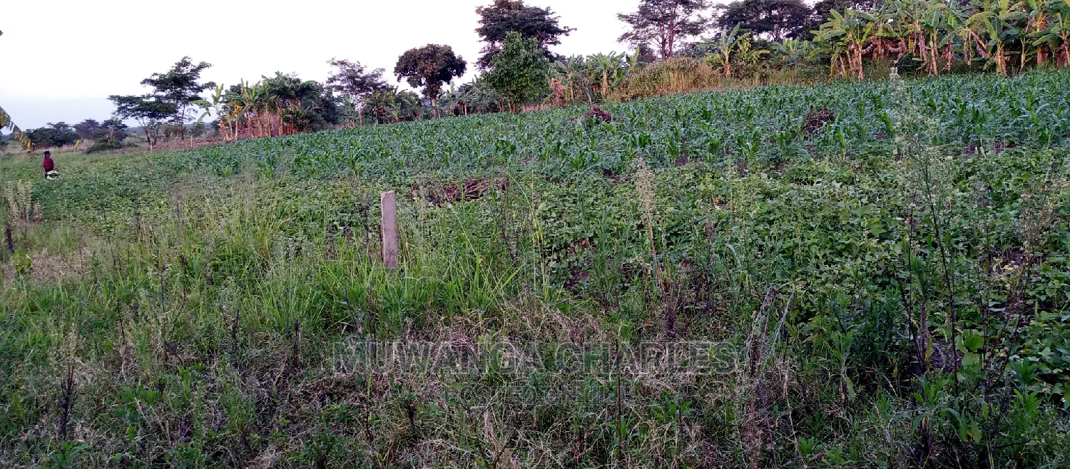10acres of Land for Sale in Zirobwe