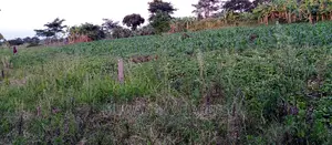 10acres of Land for Sale in Zirobwe