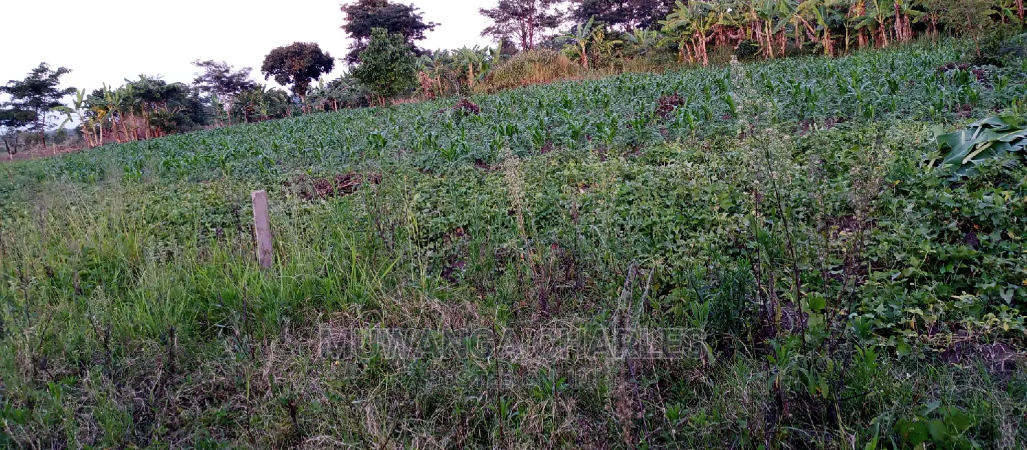 10acres of Land for Sale in Zirobwe