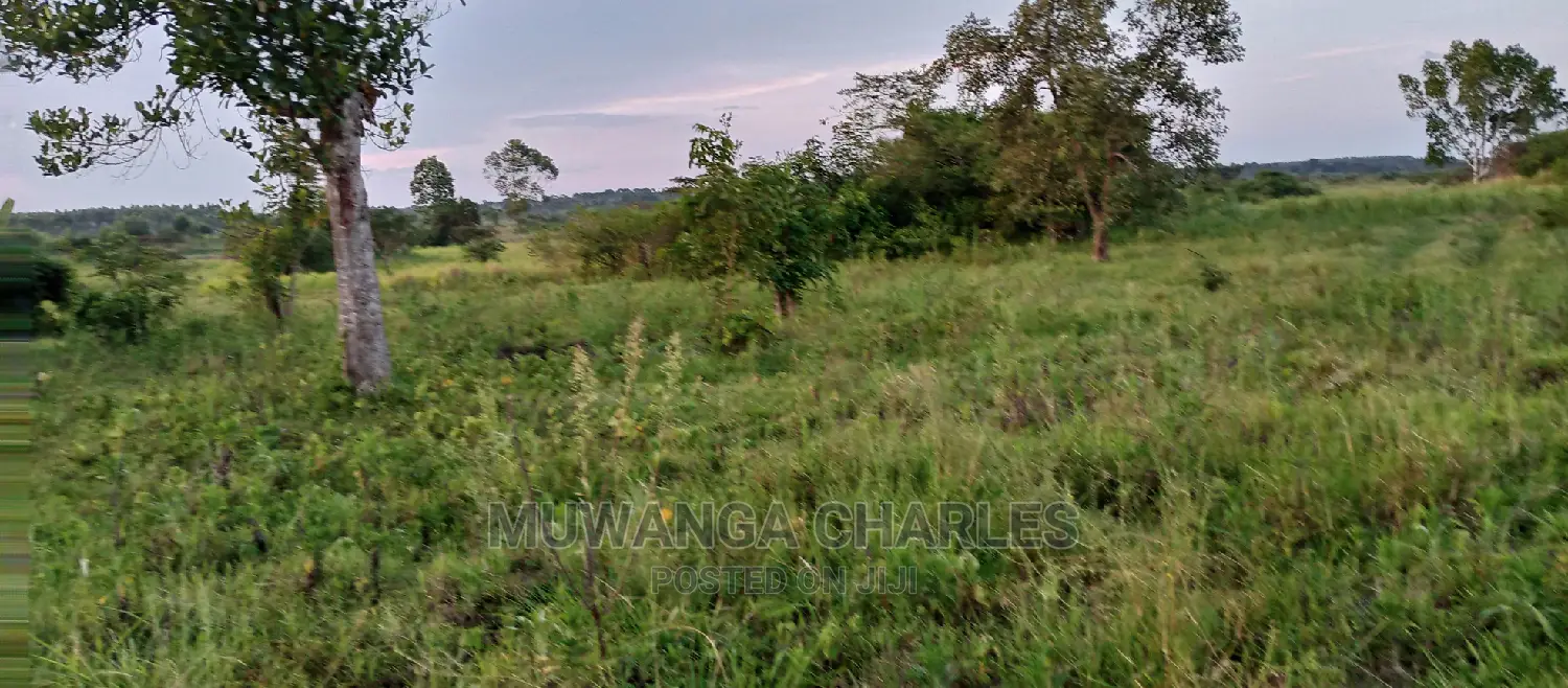 10acres of Land for Sale in Zirobwe