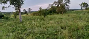 10acres of Land for Sale in Zirobwe