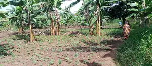 Plot Is Available for Sale in Zirobwe