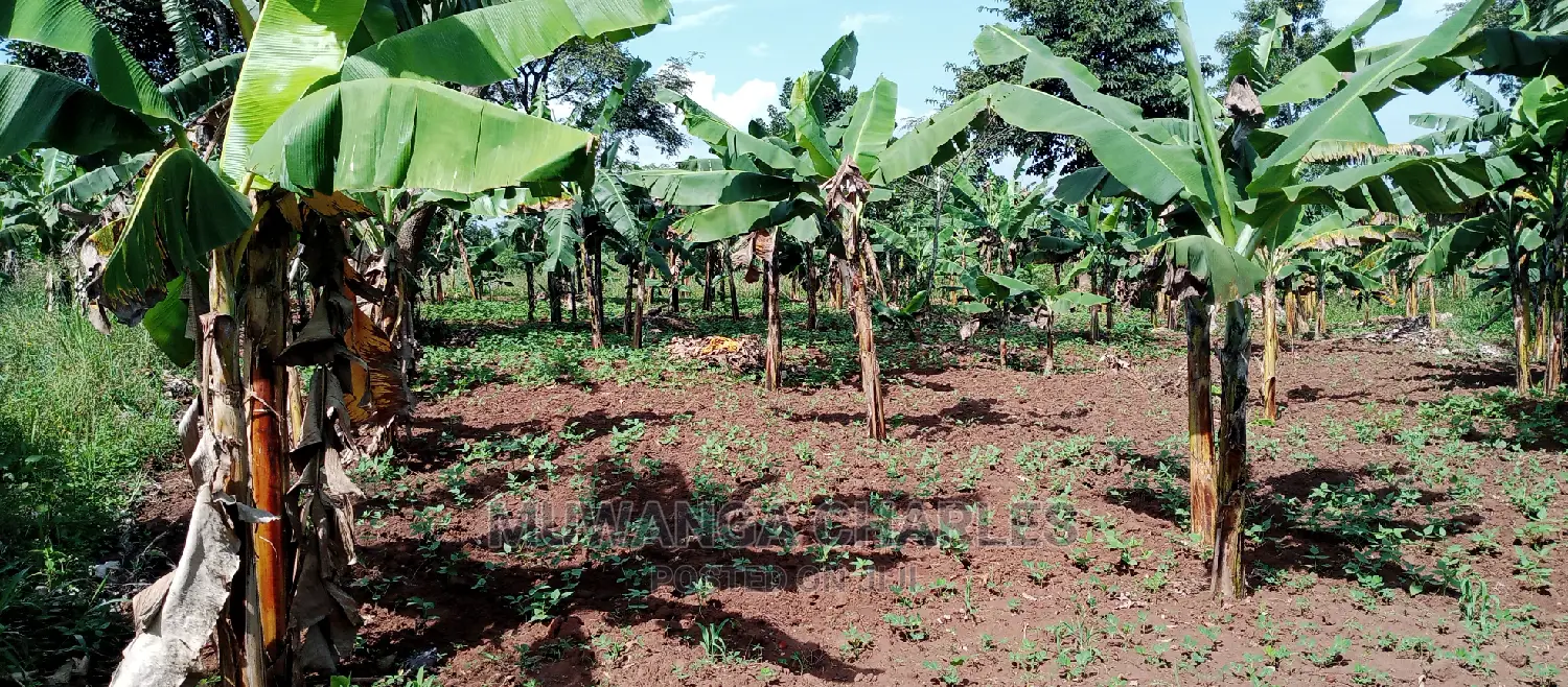 Plot Is Available for Sale in Zirobwe