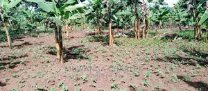 Plot Is Available for Sale in Zirobwe