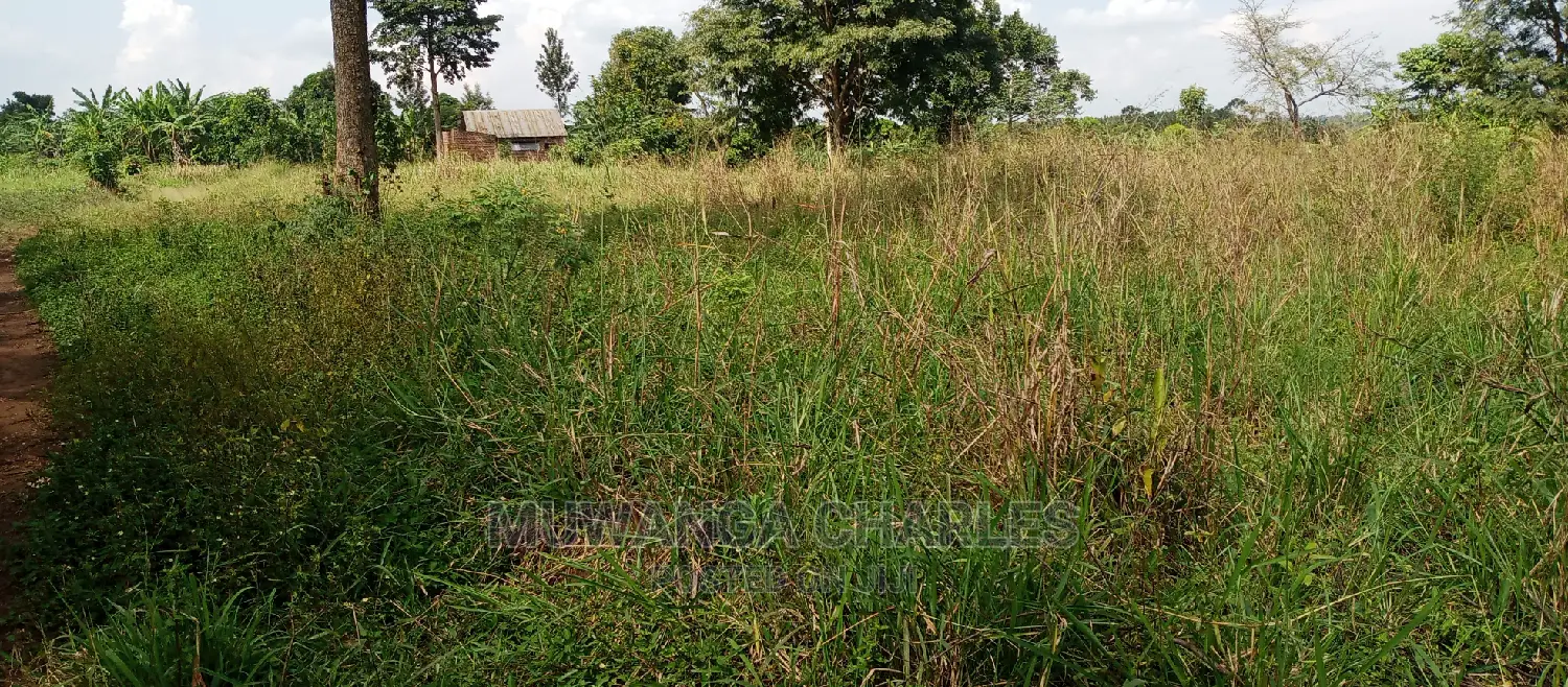 Plot Is Available for Sale in Zirobwe