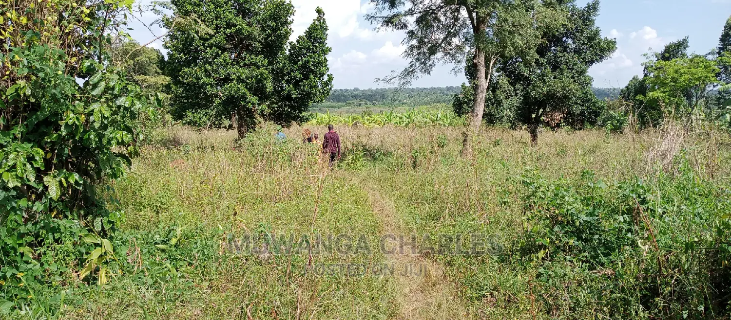 Plot Is Available for Sale in Zirobwe