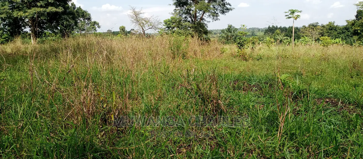 Plot Is Available for Sale in Zirobwe