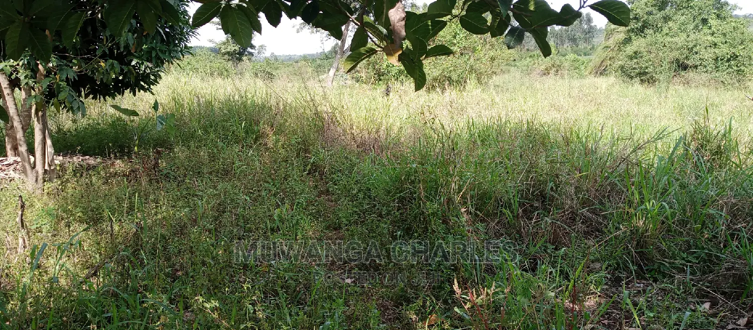 5acres Is Available for Sale in Zirobwe