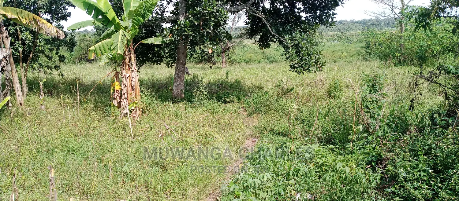 5acres Is Available for Sale in Zirobwe