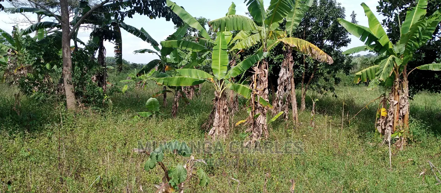 5acres Is Available for Sale in Zirobwe