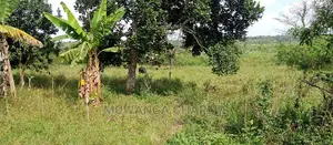 5acres Is Available for Sale in Zirobwe