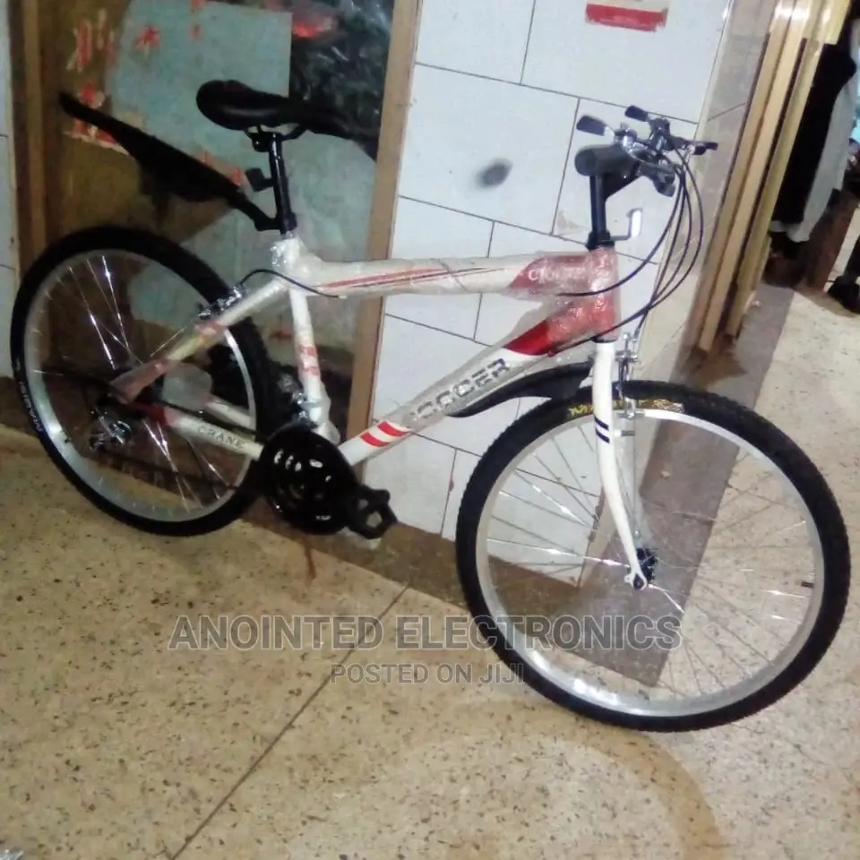 Old Bike's