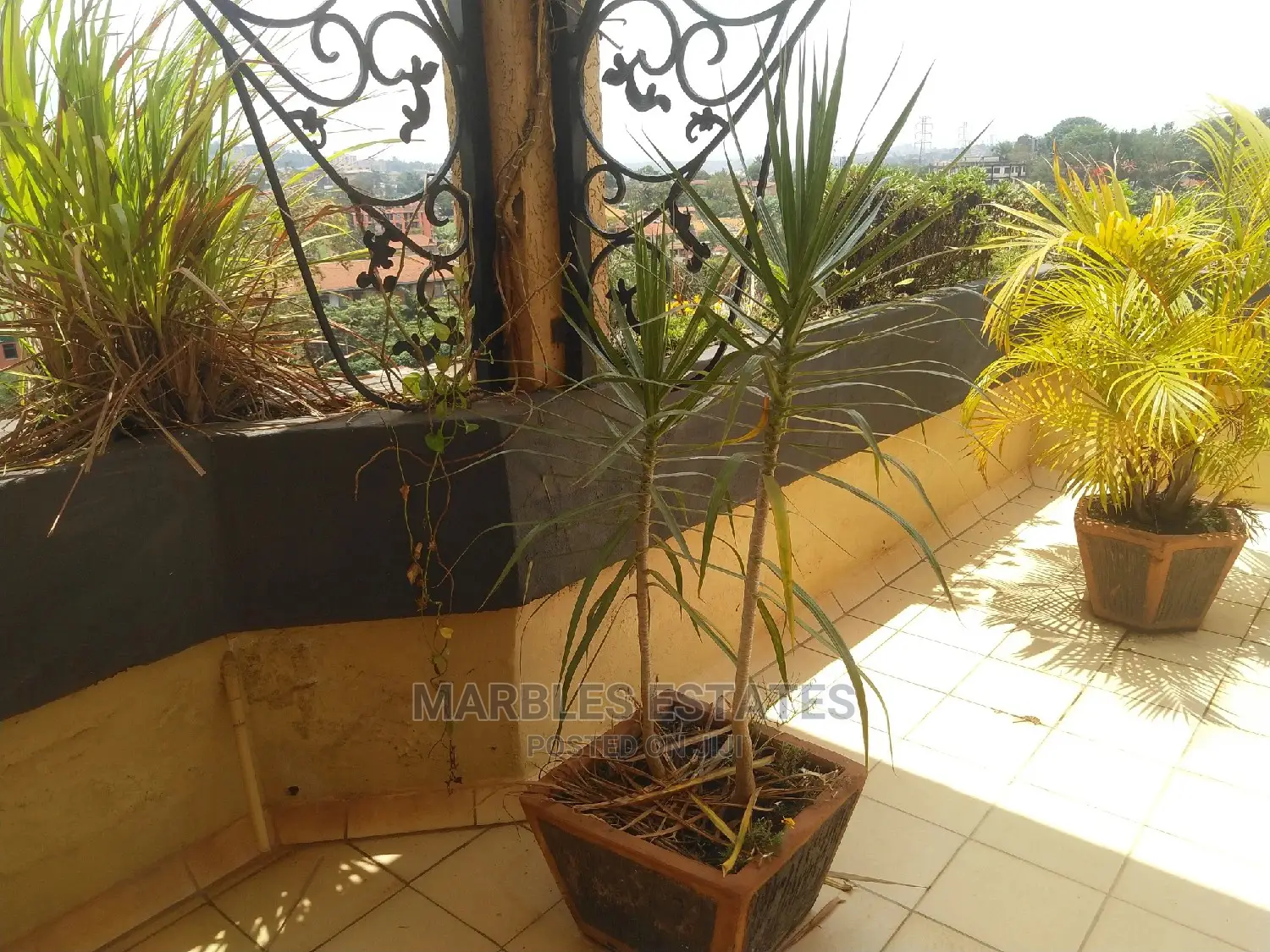Furnished 3bdrm Apartment in Naguru, Central Division for Rent