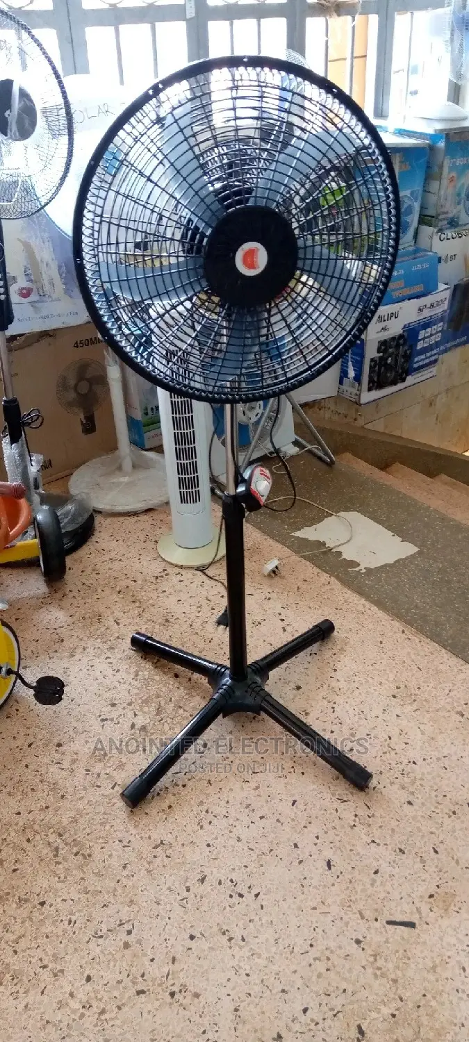 Stand Fans Black