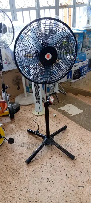 Stand Fans Black