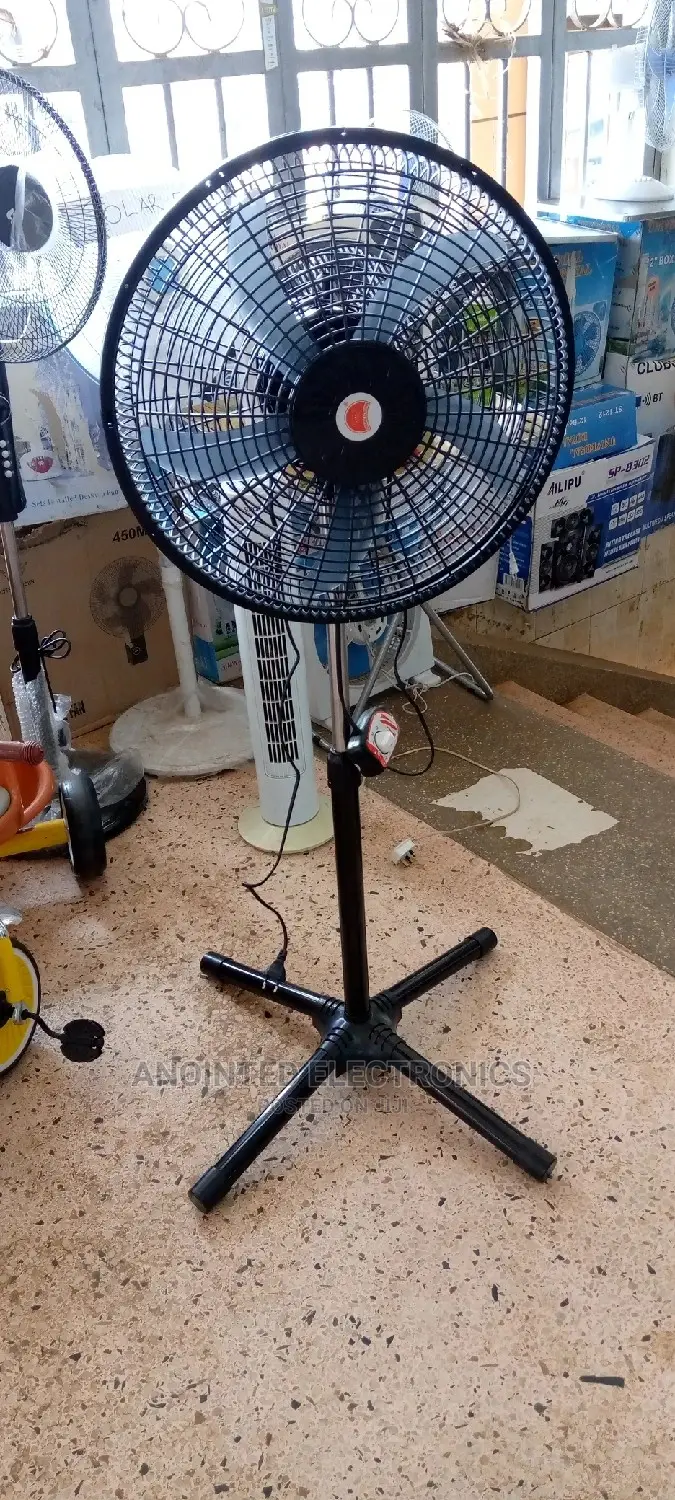 Stand Fans Black
