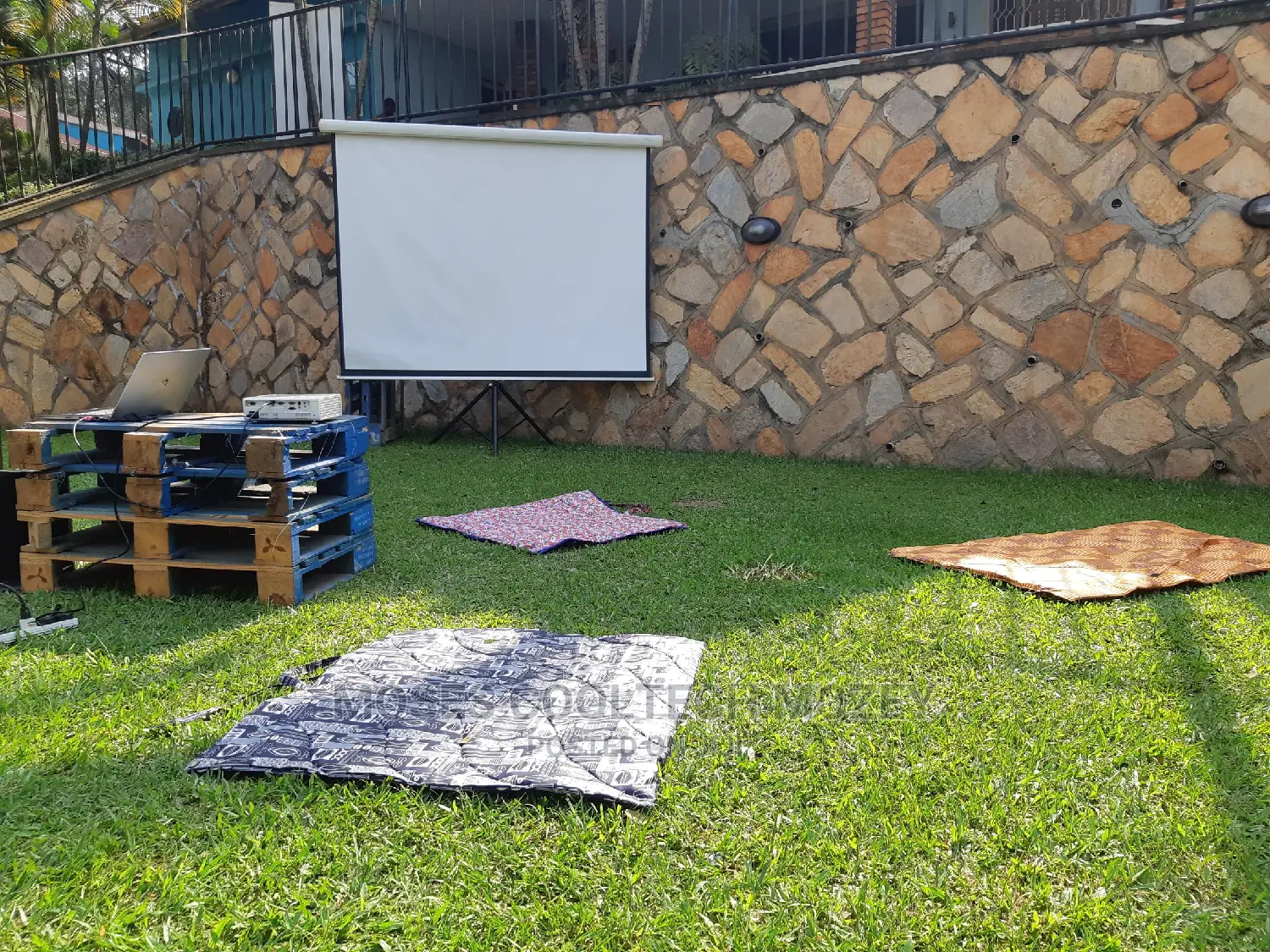 Projector Screens for Sell and Hiring ( Projector/Screens)