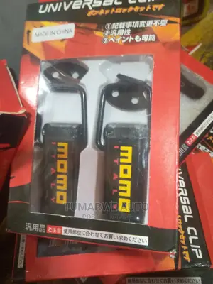 Lock Clips .