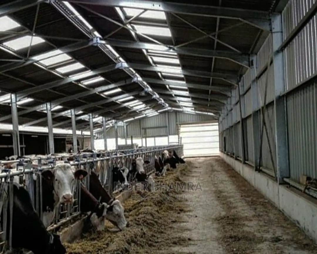 Steel Sheds