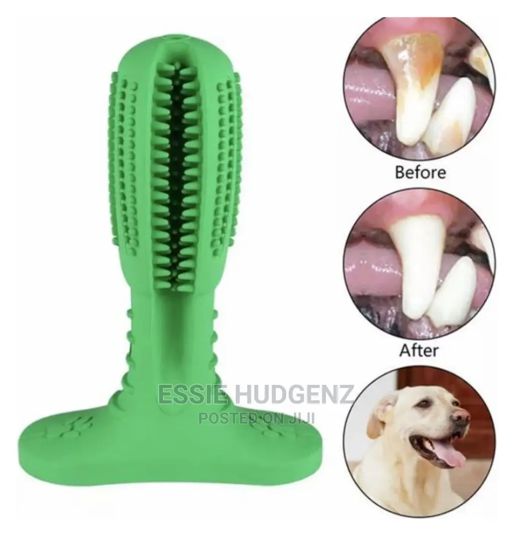 Dog Toothbrush