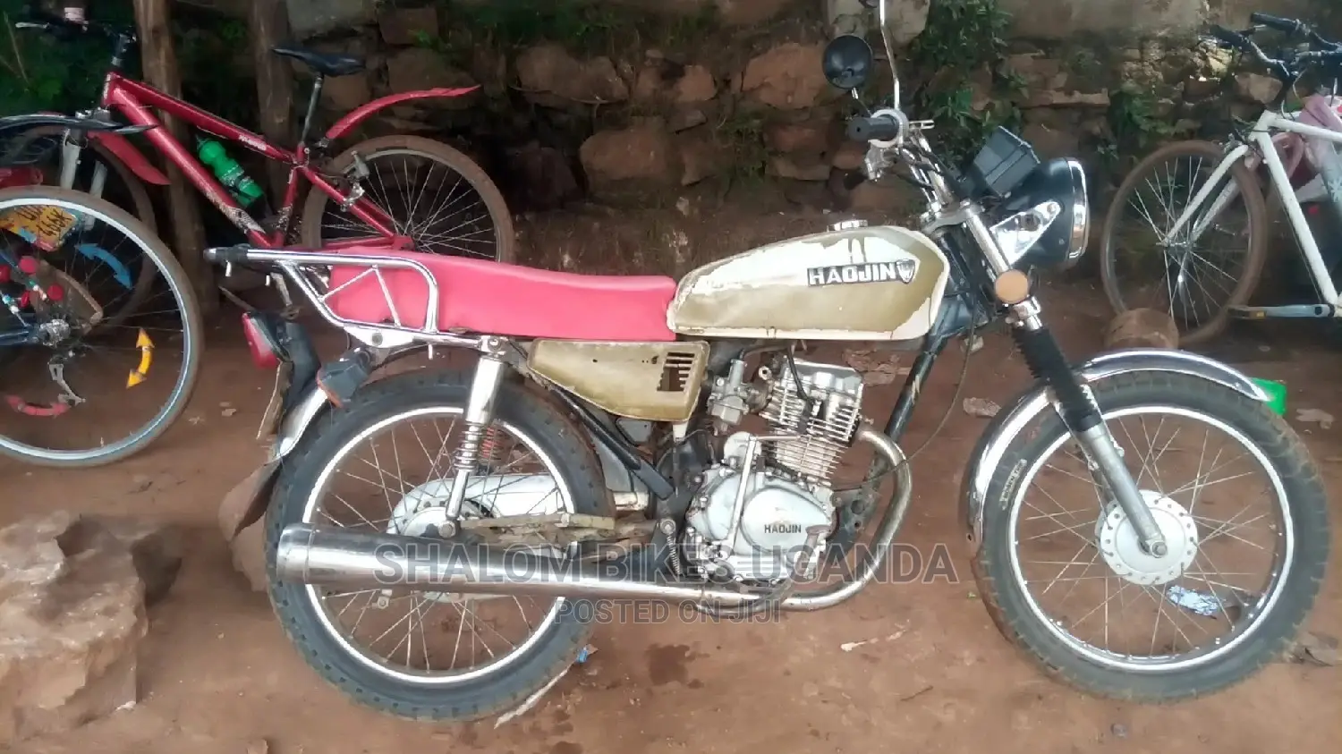 Senke Leopard 300 2018 Gold