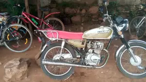 Photo - Senke Leopard 300 2018 Gold