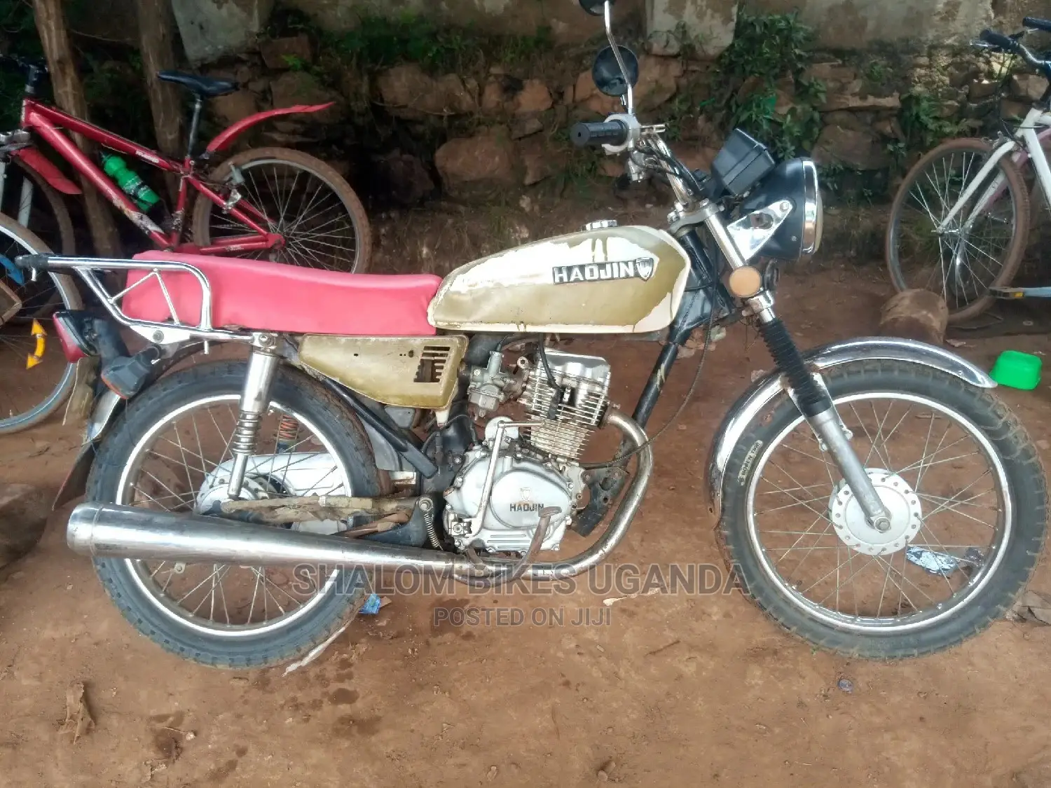 Senke Leopard 300 2018 Gold