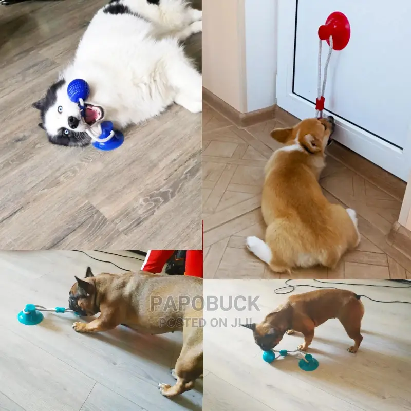 Dog Interactive Push Up Cup