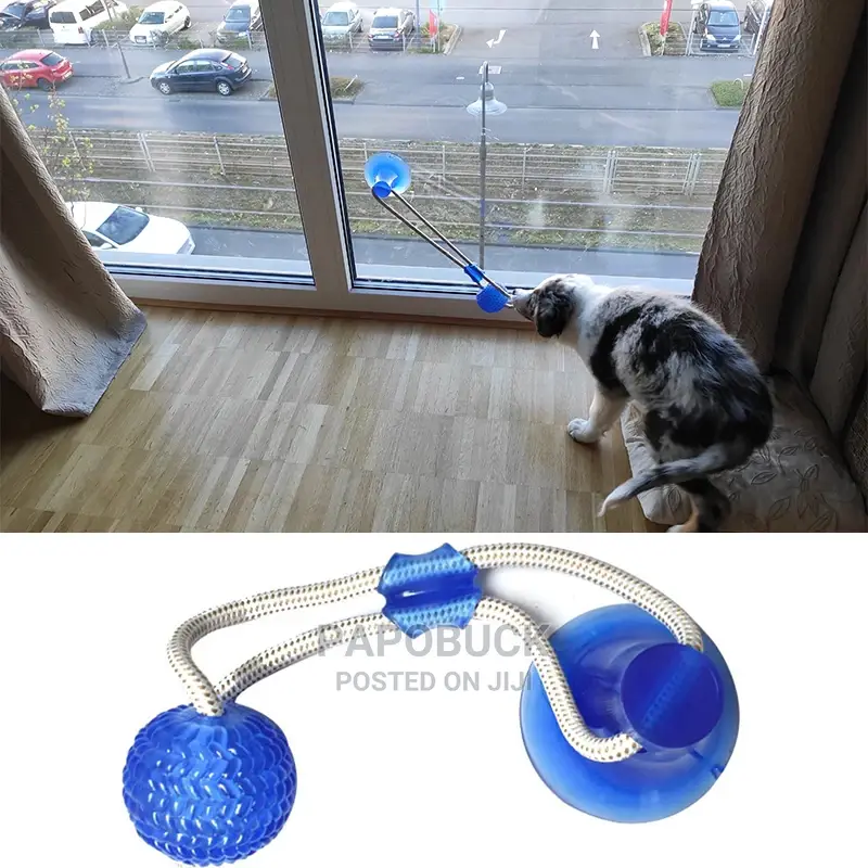 Dog Interactive Push Up Cup