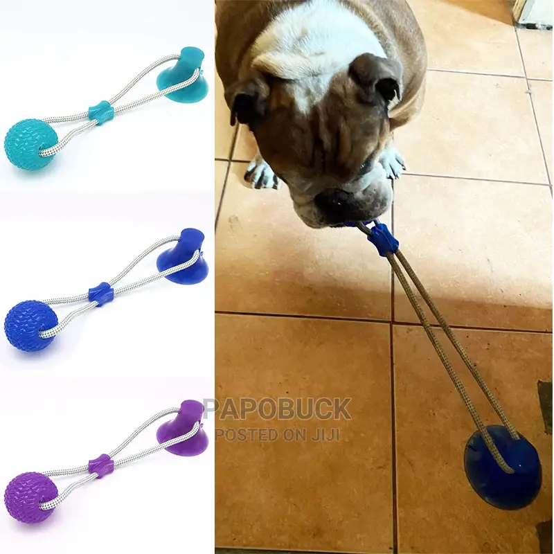 Dog Interactive Push Up Cup