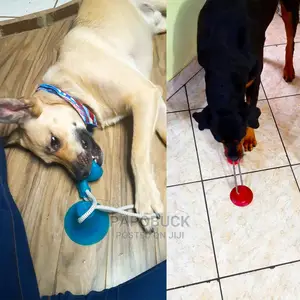Dog Interactive Push Up Cup