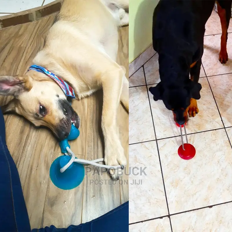 Dog Interactive Push Up Cup