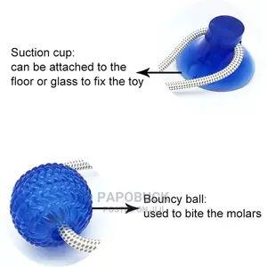 Dog Interactive Push Up Cup