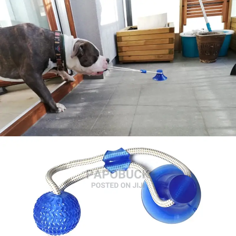Dog Interactive Push Up Cup