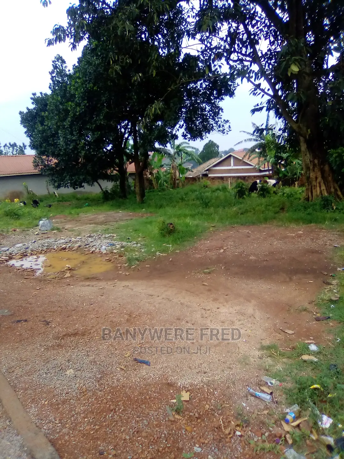 100/100 Plot for Sale in Mbalwa