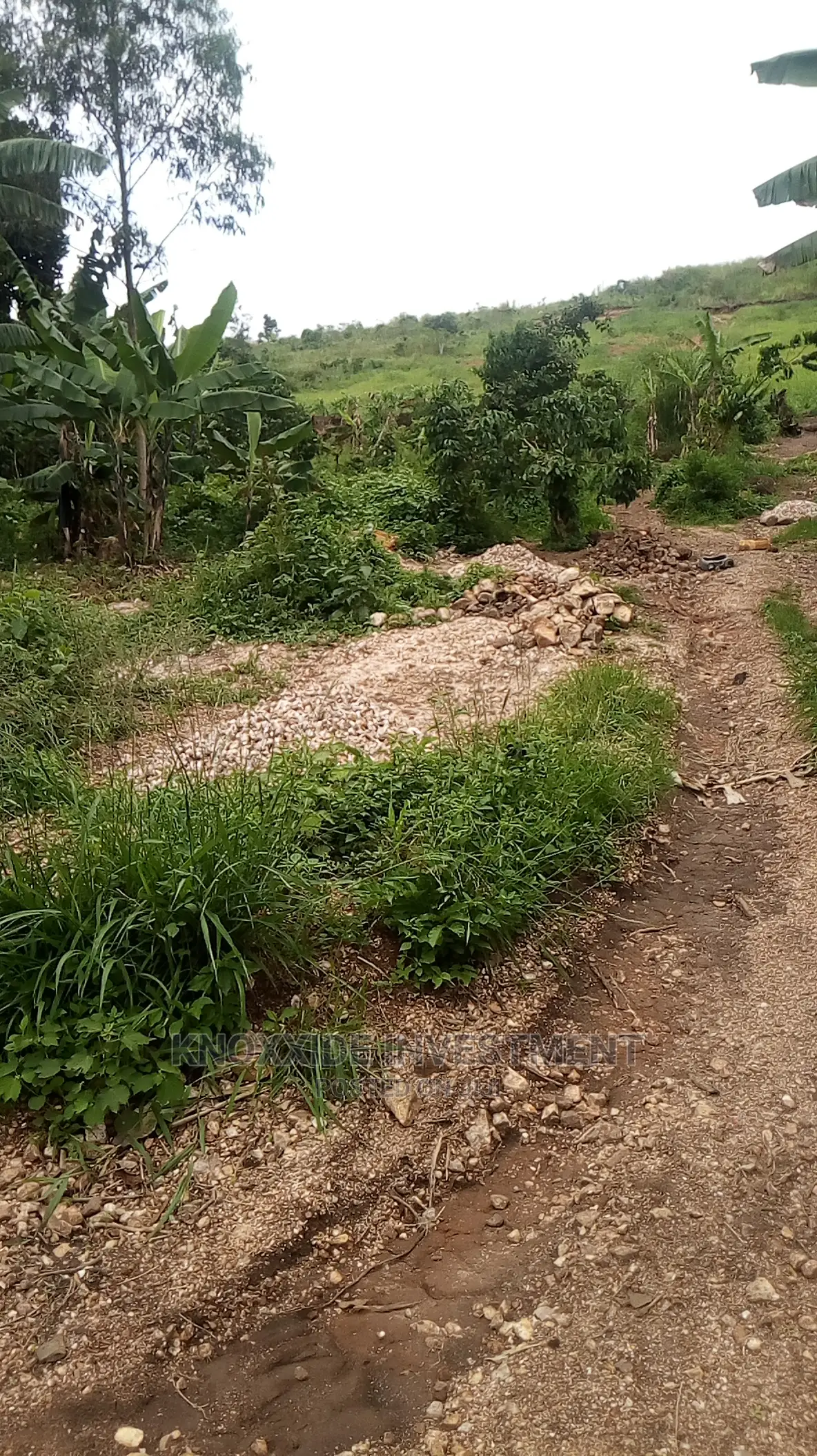 Quarry Land for 2acre at 100m Ugx Kakiri Hoima Road