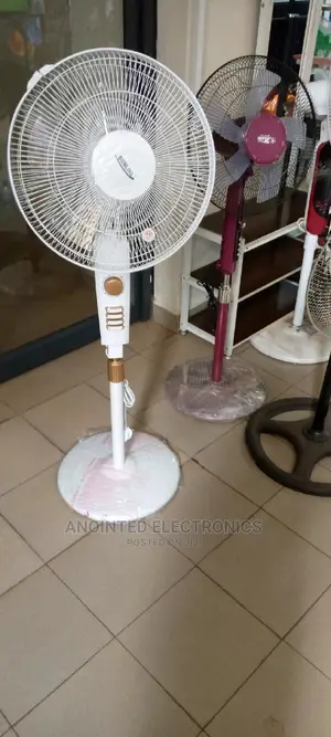 Sun Shining Fan