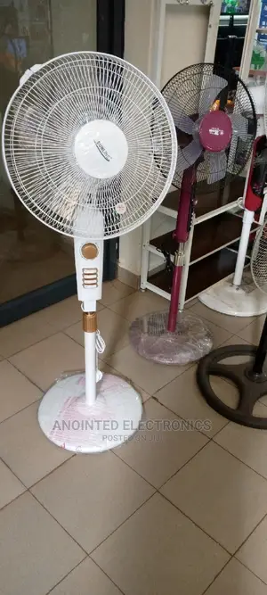 Sun Shining Fan
