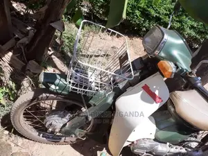 Honda 2019 Green
