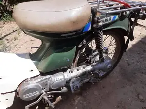 Honda 2019 Green