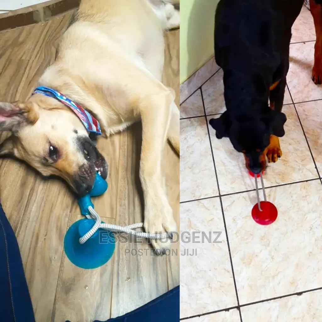 Dog Interactive Push Up Cup