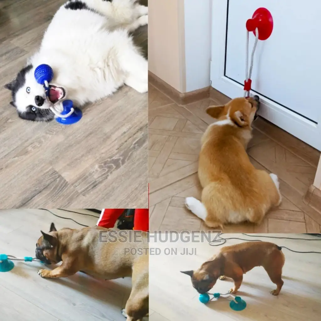 Dog Interactive Push Up Cup