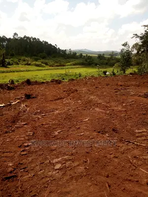 Plots on Sale 100x50ft at 45m With Private Ready Tittle Bukasa