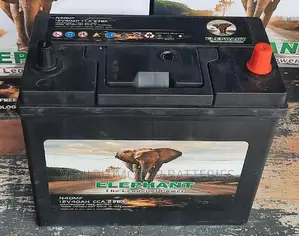 N40 -40 AH Japan Technology Maintenance Free Battery