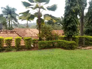 3bdrm Bungalow in Kololo Property, Central Division for Rent