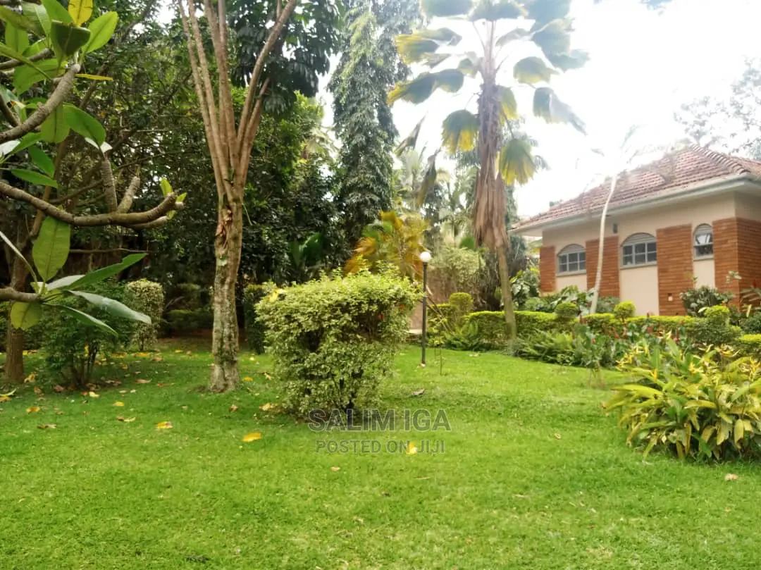 3bdrm Bungalow in Kololo Property, Central Division for Rent