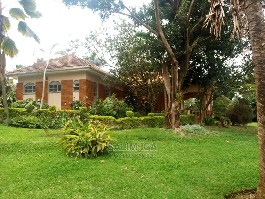 3bdrm Bungalow in Kololo Property, Central Division for Rent