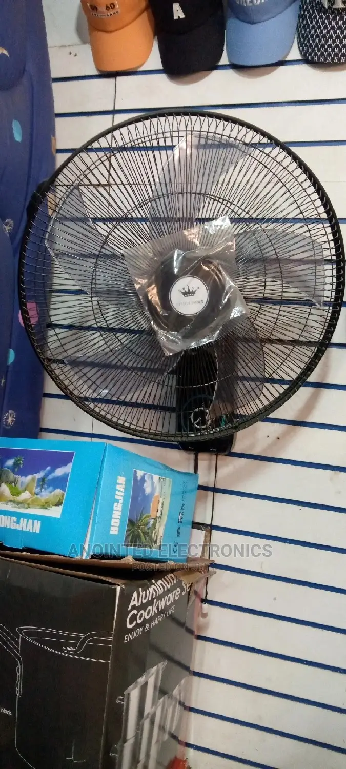 Wall Black Fan